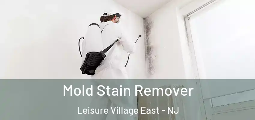 Mold Stain Remover Leisure Village East - NJ