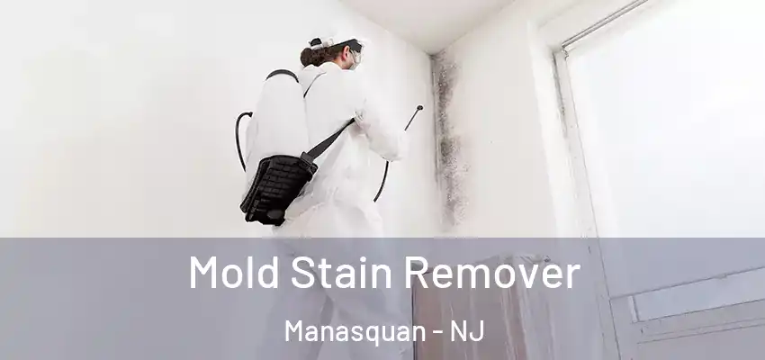 Mold Stain Remover Manasquan - NJ