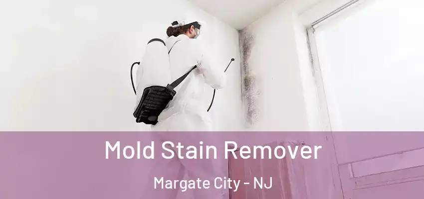 Mold Stain Remover Margate City - NJ