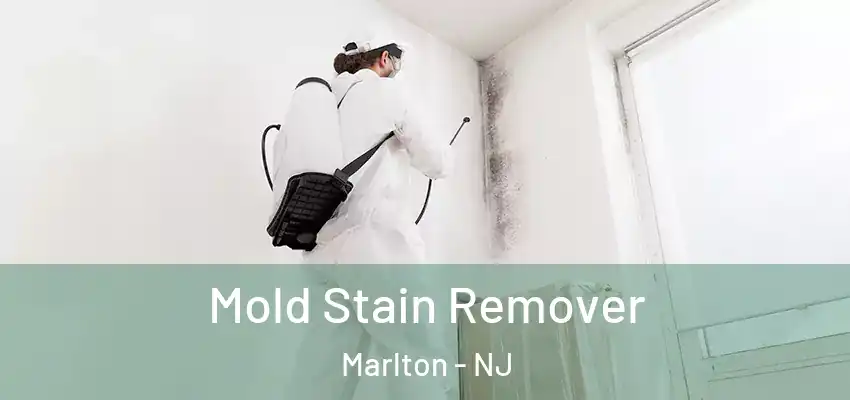  Mold Stain Remover Marlton - NJ