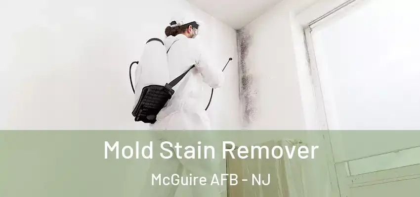 Mold Stain Remover McGuire AFB - NJ