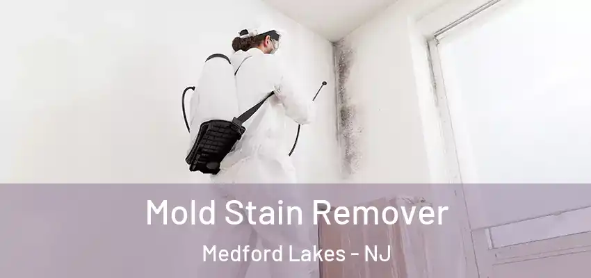 Mold Stain Remover Medford Lakes - NJ
