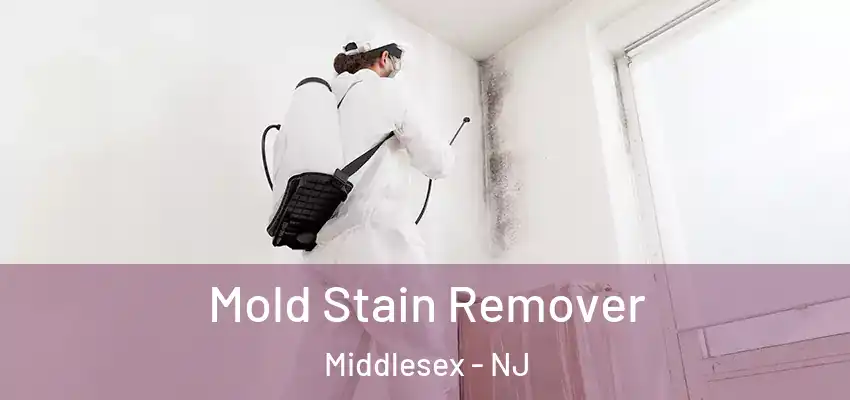  Mold Stain Remover Middlesex - NJ
