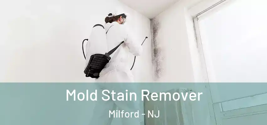 Mold Stain Remover Milford - NJ