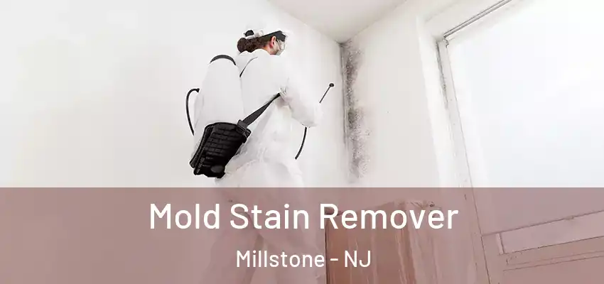  Mold Stain Remover Millstone - NJ