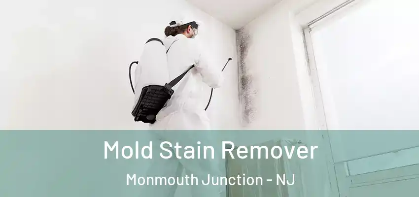 Mold Stain Remover Monmouth Junction - NJ