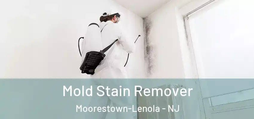 Mold Stain Remover Moorestown-Lenola - NJ