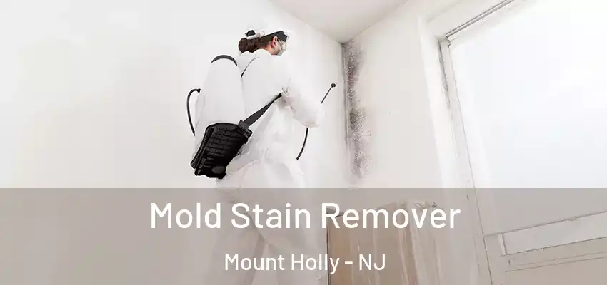  Mold Stain Remover Mount Holly - NJ
