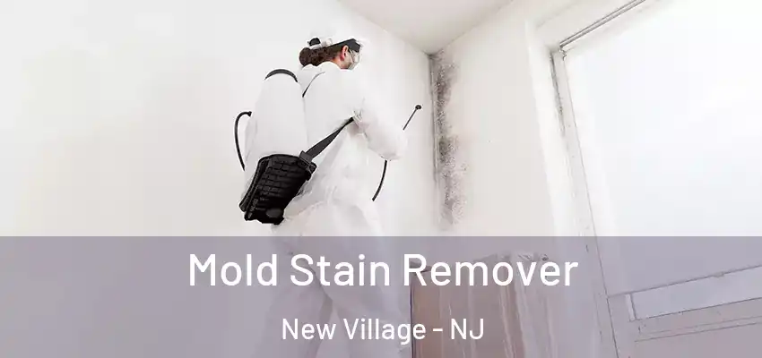 Mold Stain Remover New Village - NJ