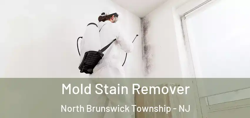 Mold Stain Remover North Brunswick Township - NJ