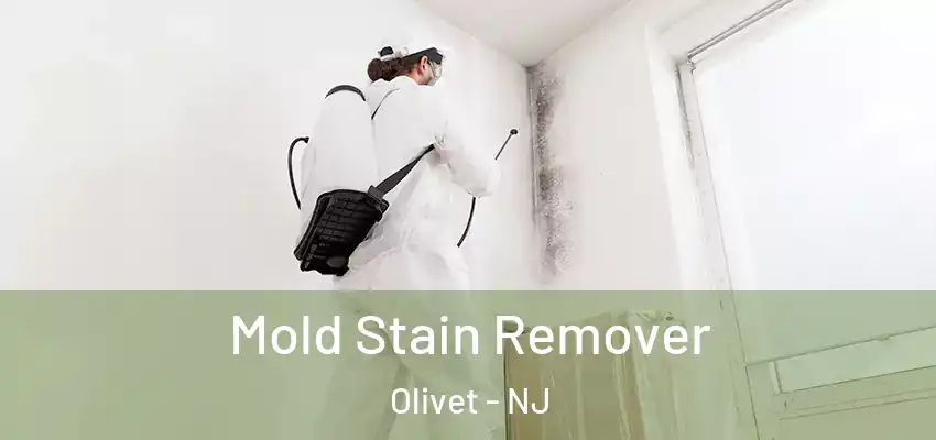  Mold Stain Remover Olivet - NJ