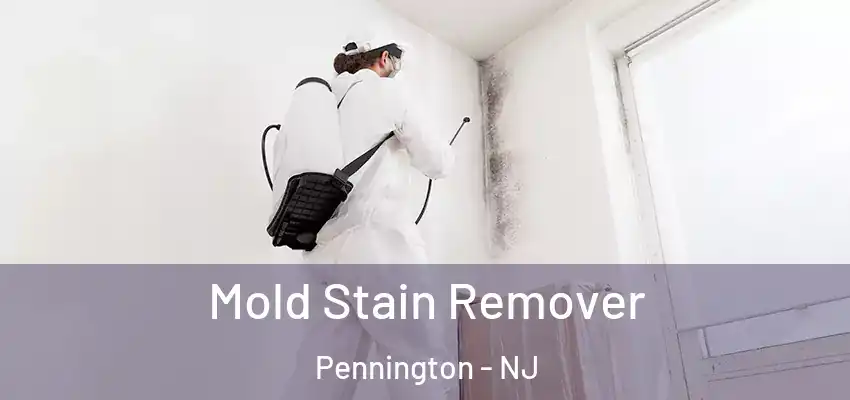  Mold Stain Remover Pennington - NJ