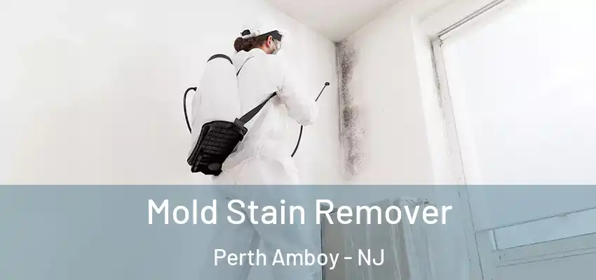  Mold Stain Remover Perth Amboy - NJ