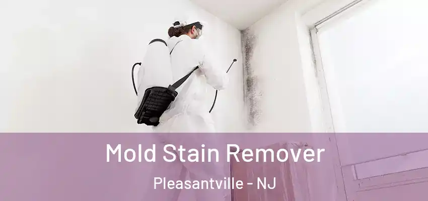 Mold Stain Remover Pleasantville - NJ