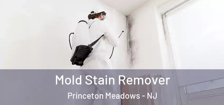  Mold Stain Remover Princeton Meadows - NJ