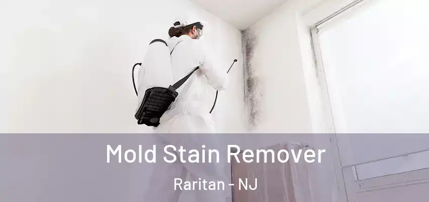 Mold Stain Remover Raritan - NJ