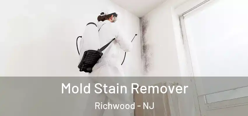  Mold Stain Remover Richwood - NJ