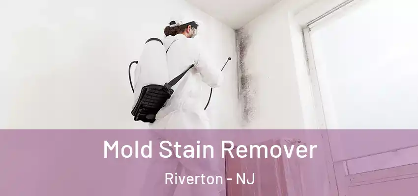 Mold Stain Remover Riverton - NJ