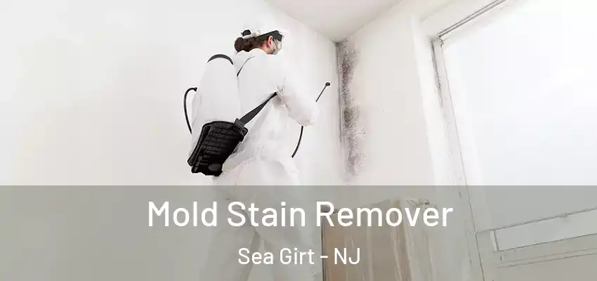 Mold Stain Remover Sea Girt - NJ