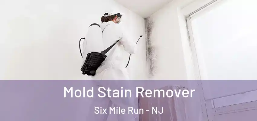 Mold Stain Remover Six Mile Run - NJ