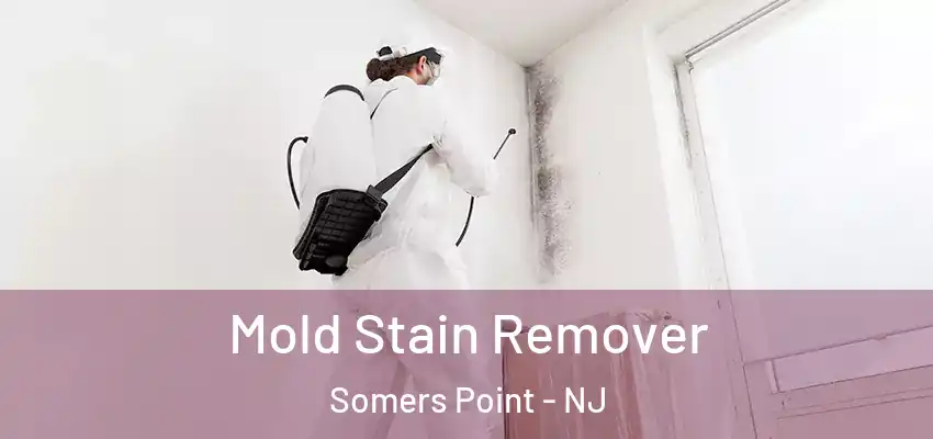 Mold Stain Remover Somers Point - NJ