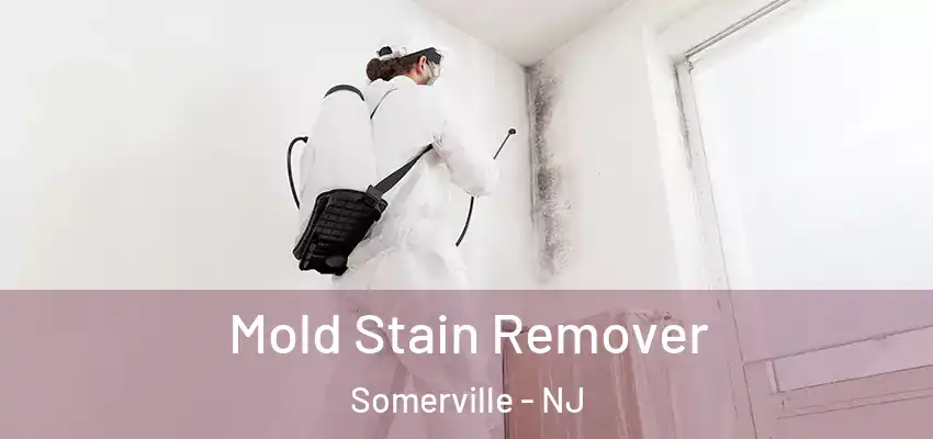  Mold Stain Remover Somerville - NJ