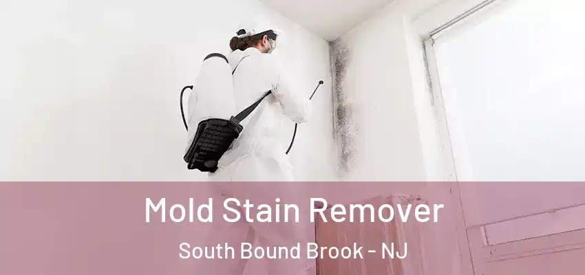  Mold Stain Remover South Bound Brook - NJ