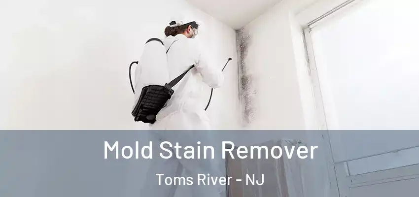  Mold Stain Remover Toms River - NJ