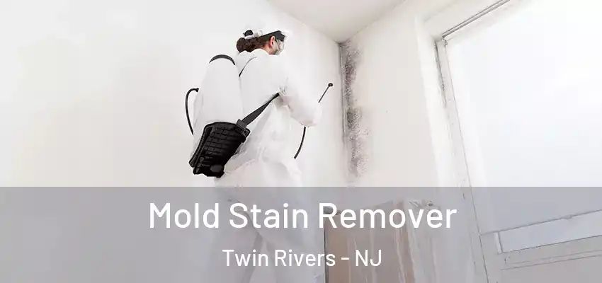 Mold Stain Remover Twin Rivers - NJ