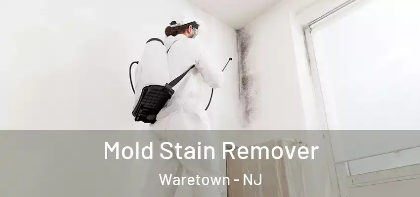  Mold Stain Remover Waretown - NJ