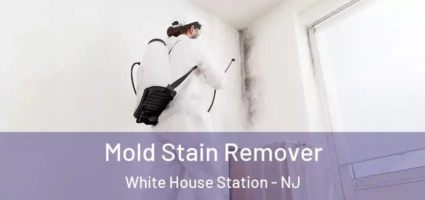 Mold Stain Remover White House Station - NJ