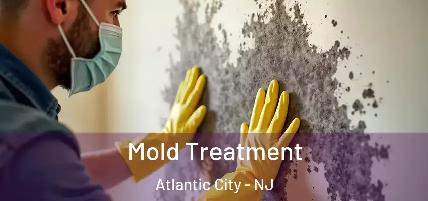 Mold Treatment Atlantic City - NJ