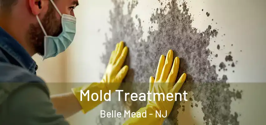  Mold Treatment Belle Mead - NJ