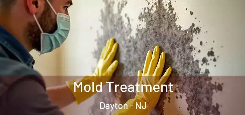  Mold Treatment Dayton - NJ
