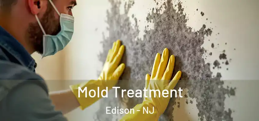  Mold Treatment Edison - NJ