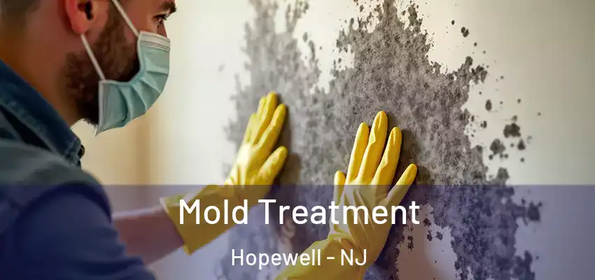 Mold Treatment Hopewell - NJ