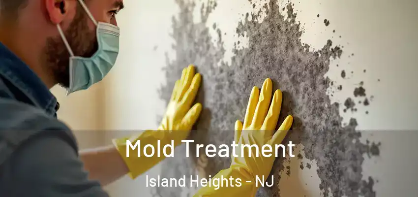 Mold Treatment Island Heights - NJ