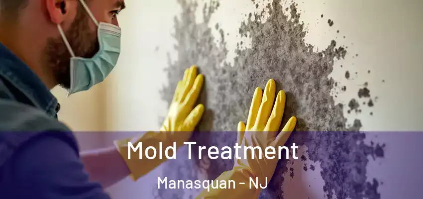 Mold Treatment Manasquan - NJ