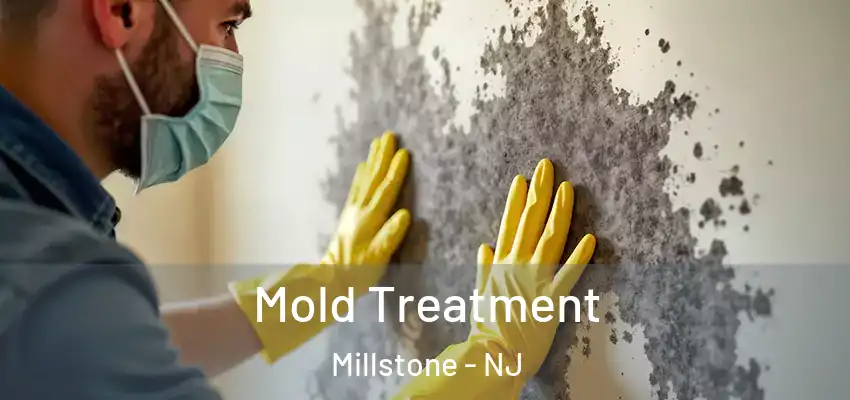  Mold Treatment Millstone - NJ