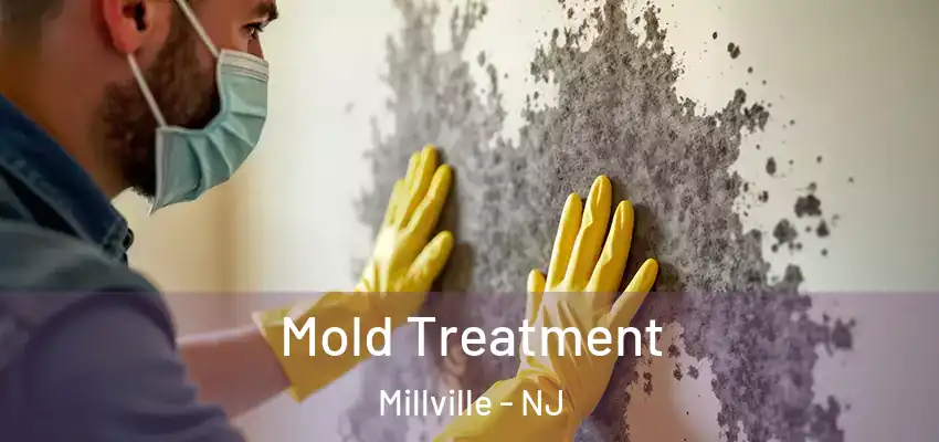  Mold Treatment Millville - NJ