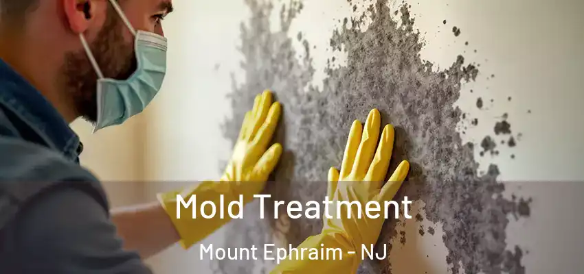  Mold Treatment Mount Ephraim - NJ