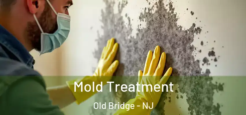 Mold Treatment Old Bridge - NJ