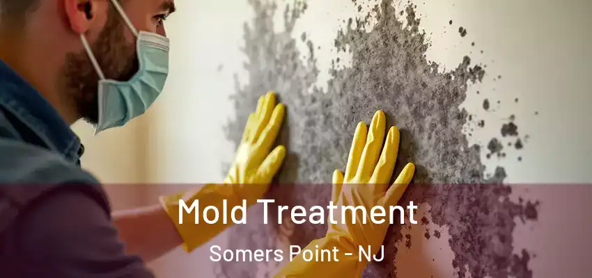  Mold Treatment Somers Point - NJ