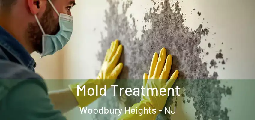 Mold Treatment Woodbury Heights - NJ