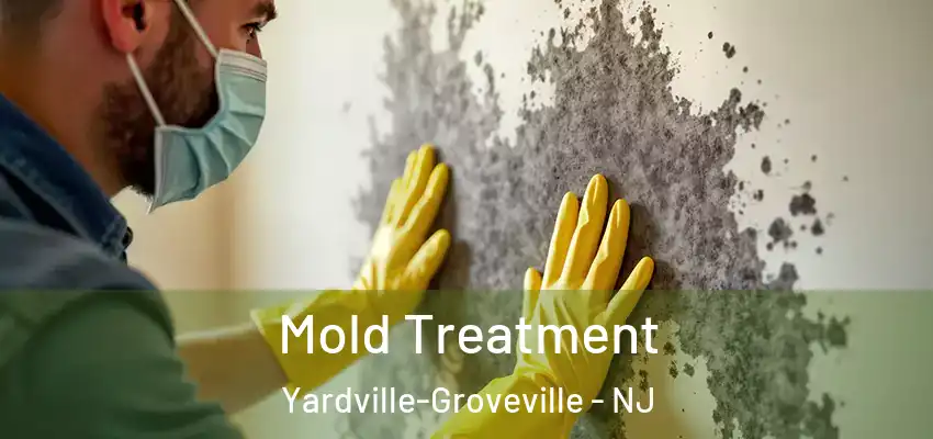 Mold Treatment Yardville-Groveville - NJ