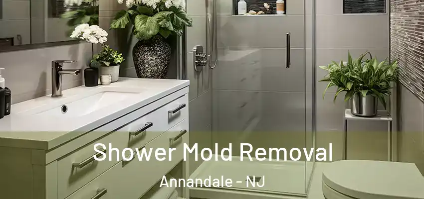  Shower Mold Removal Annandale - NJ
