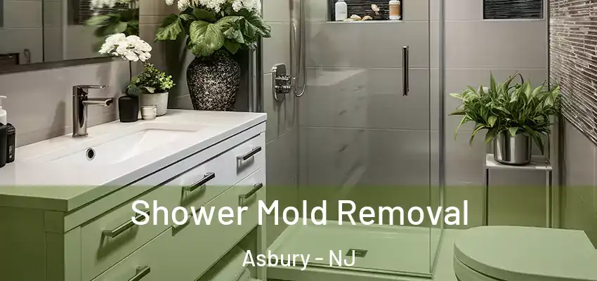  Shower Mold Removal Asbury - NJ