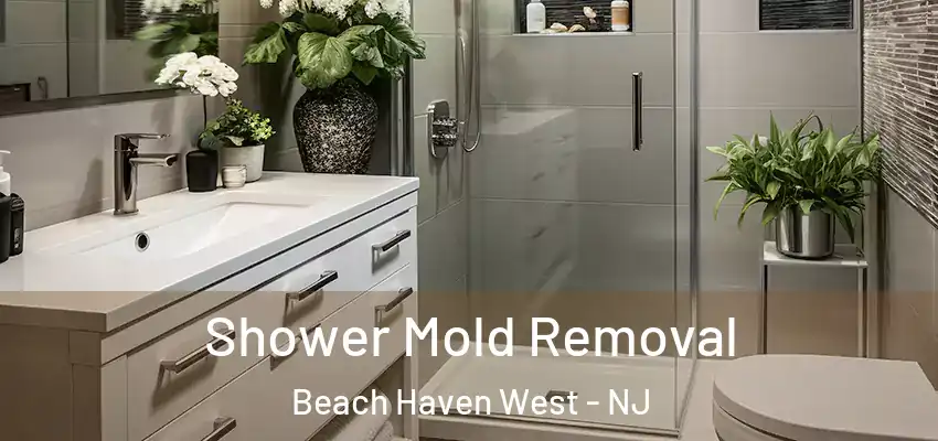  Shower Mold Removal Beach Haven West - NJ
