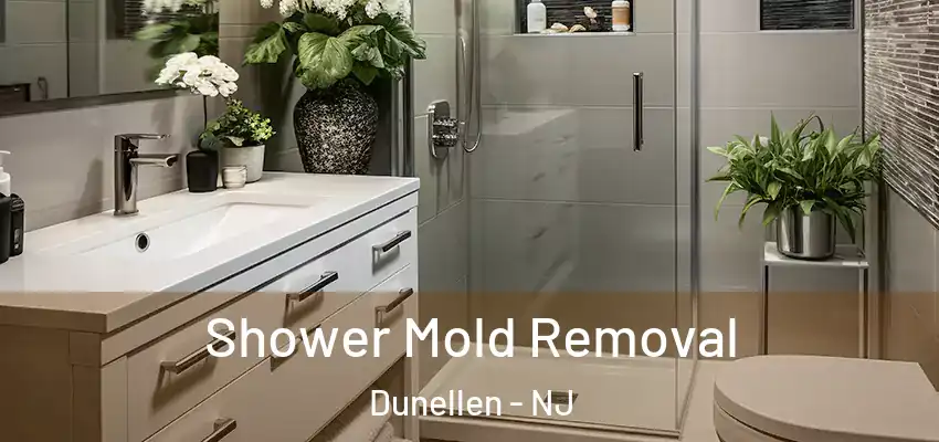  Shower Mold Removal Dunellen - NJ