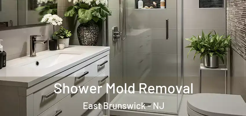 Shower Mold Removal East Brunswick - NJ